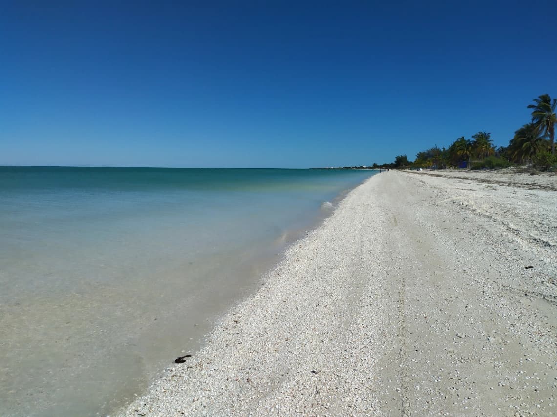 Tour en Celestun - Photo 2